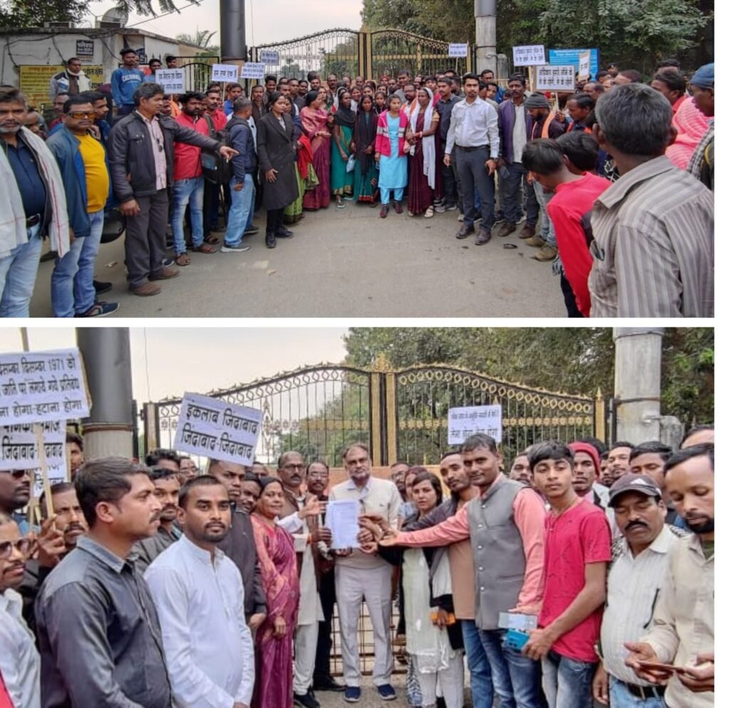 20241209_193503-COLLAGE~2