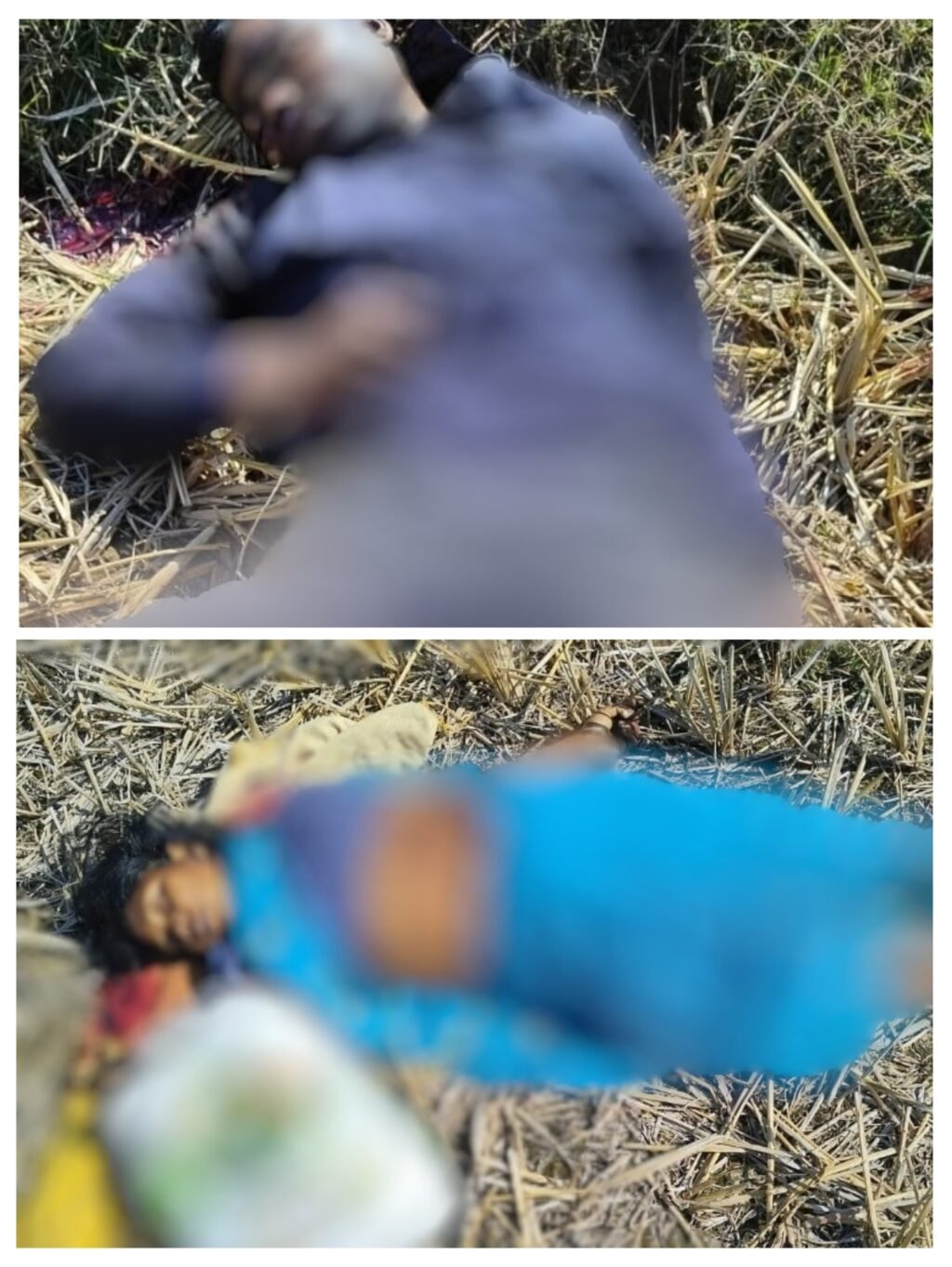 20250110_175004-COLLAGE