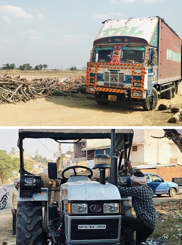 20250222_165651-COLLAGE~2