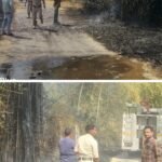 20250408_162642-COLLAGE~2