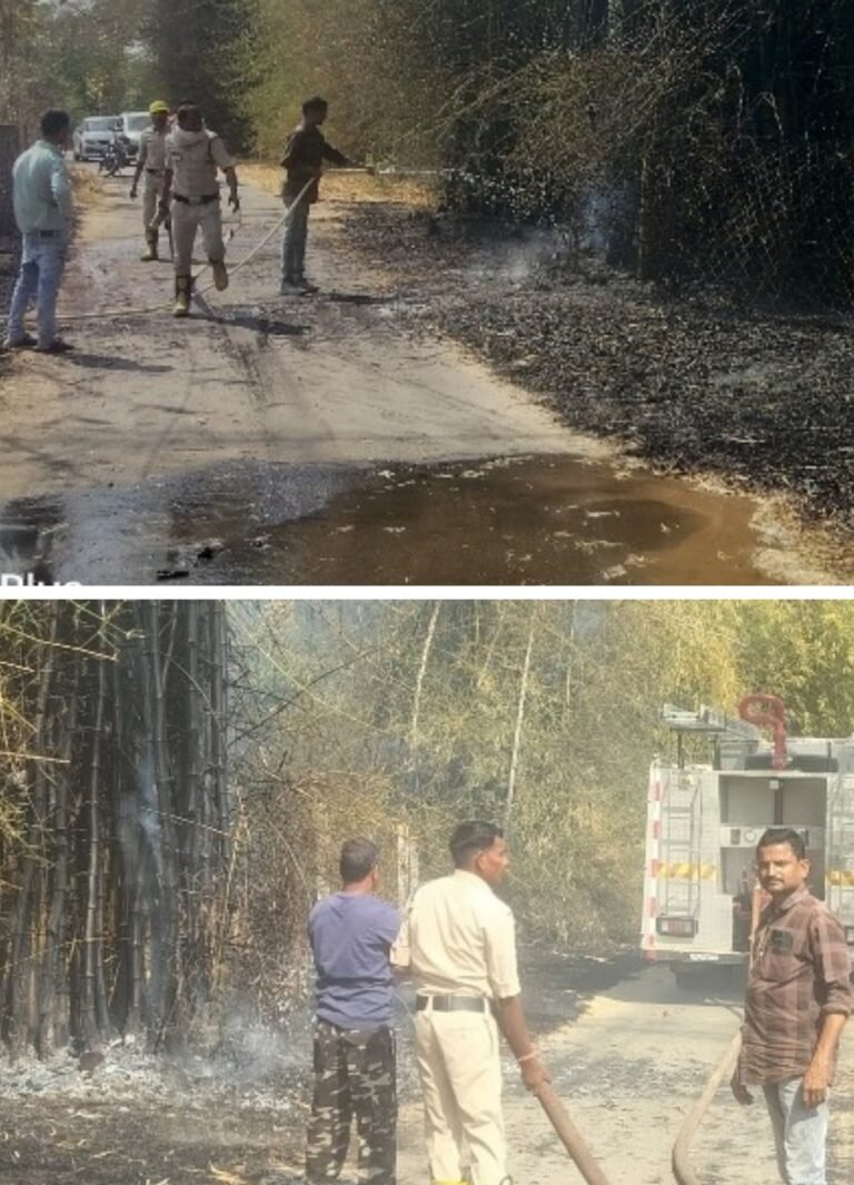 20250408_162642-COLLAGE~2