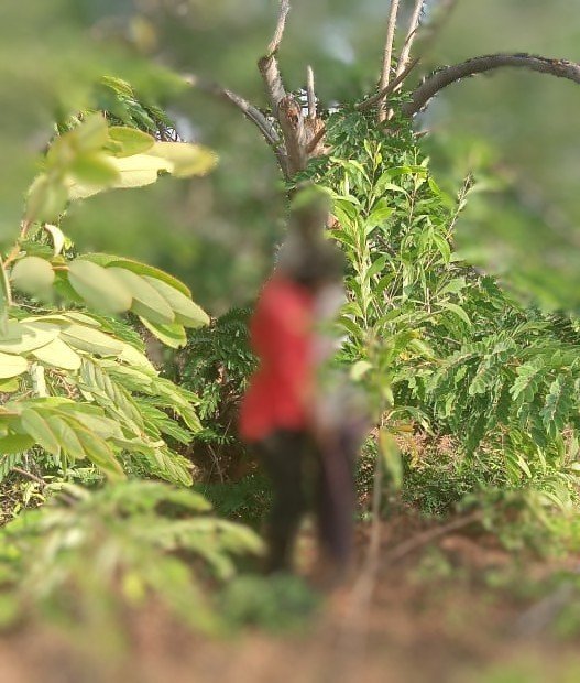 IMG-20250428-WA0005~3