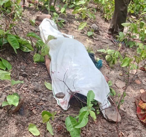 IMG-20250519-WA0002~2