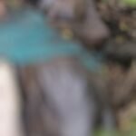 IMG-20250521-WA0027~3