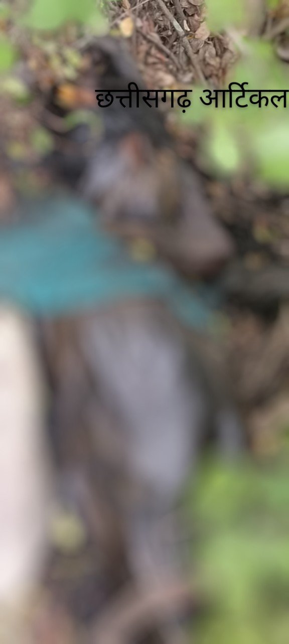 IMG-20250521-WA0027~3