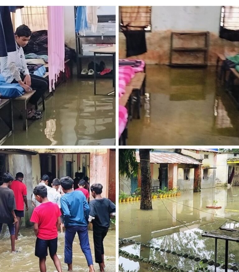 20250717_175827-COLLAGE~2