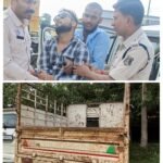 20250812_175010-COLLAGE