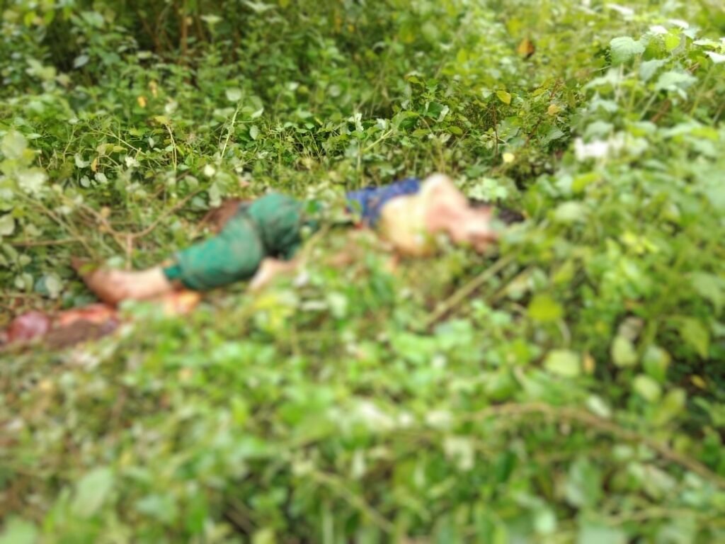 IMG-20250911-WA0005~3