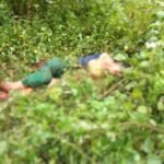 IMG-20250911-WA0005~3