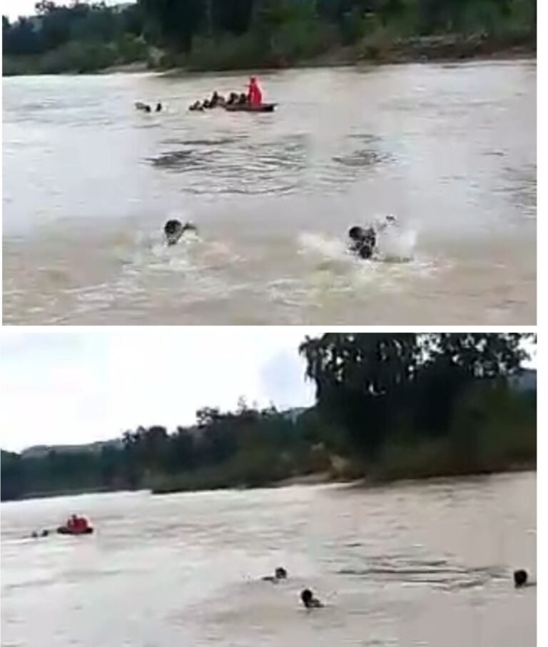 20251005_143443-COLLAGE~2