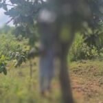 Screenshot_2025-10-05-14-12-33-36_7352322957d4404136654ef4adb64504~3