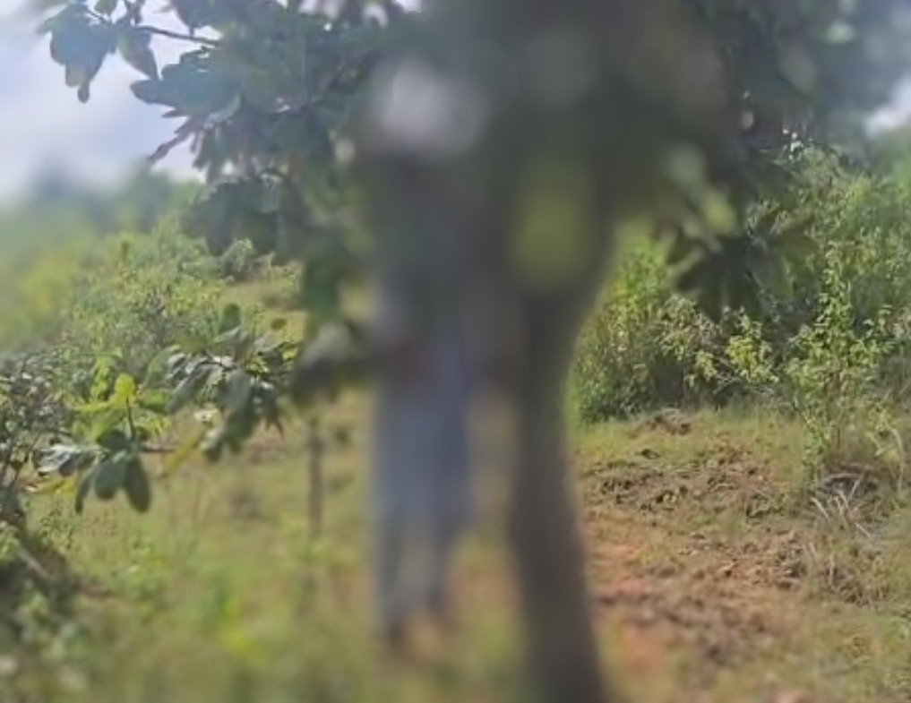 Screenshot_2025-10-05-14-12-33-36_7352322957d4404136654ef4adb64504~3