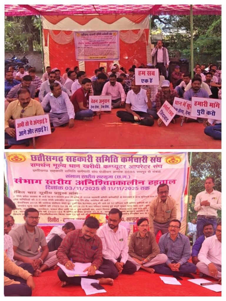 20251113_130308-COLLAGE