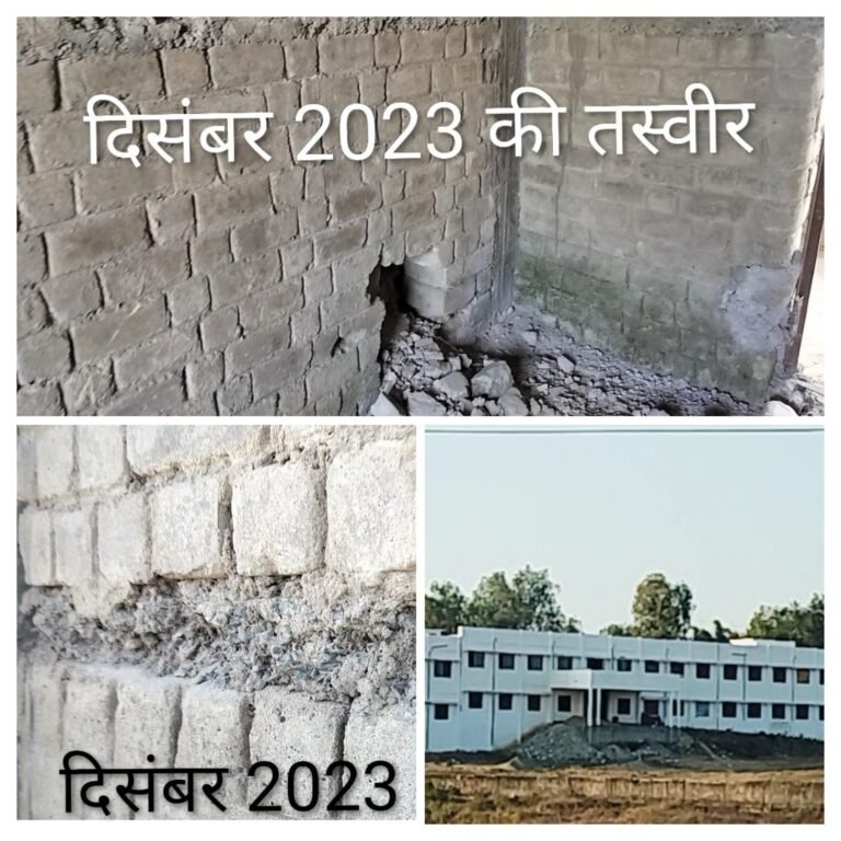 20251212_191418-COLLAGE