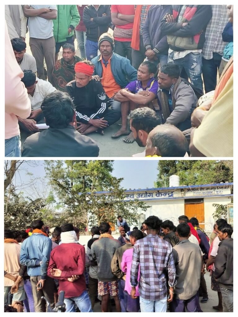 20251214_143720-COLLAGE