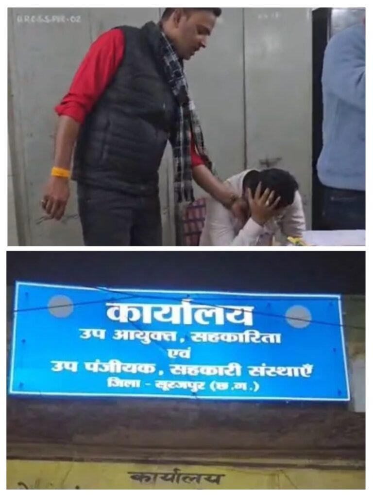 20251217_230005-COLLAGE