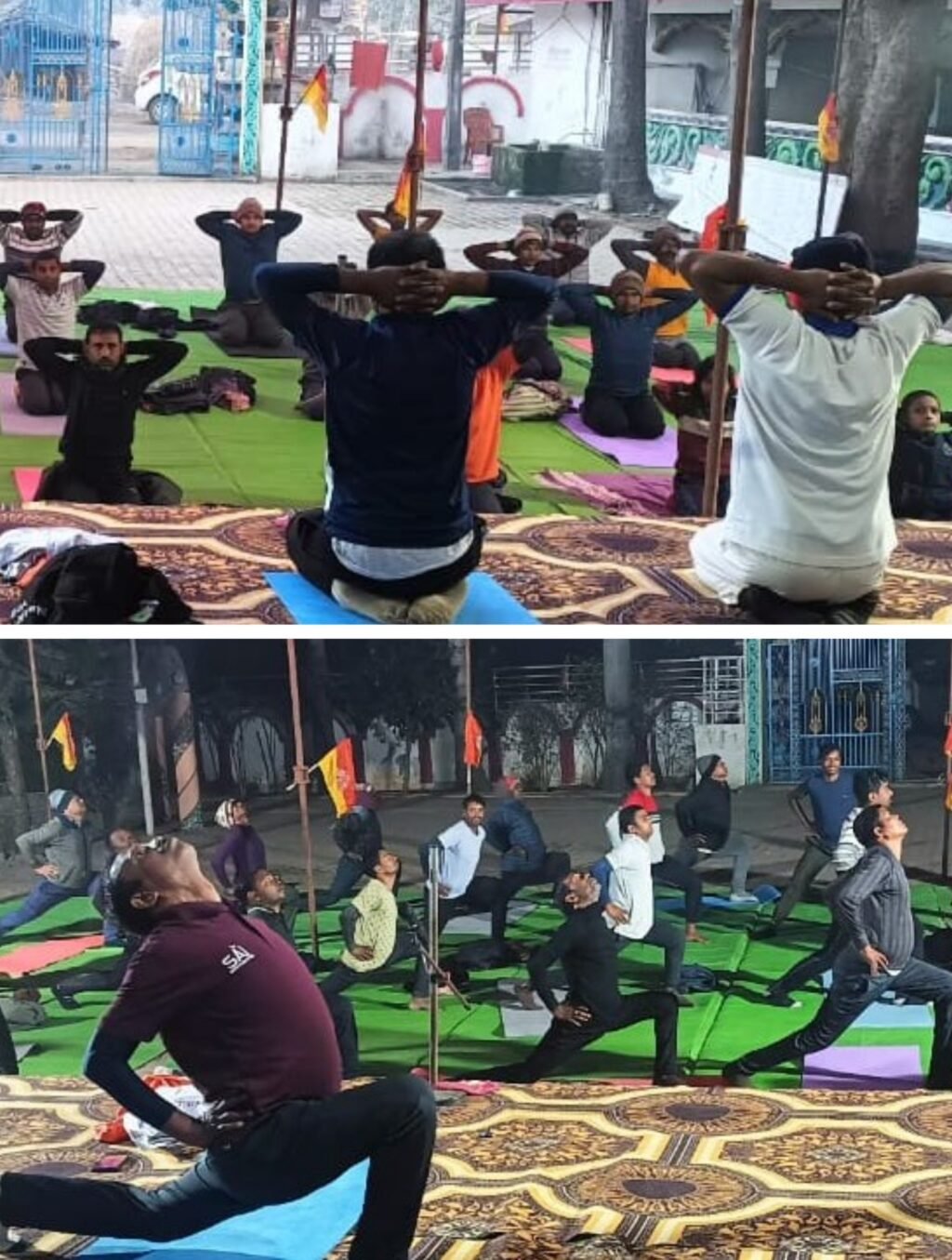 20260113_215655-COLLAGE~2