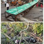 20260327_211617-COLLAGE