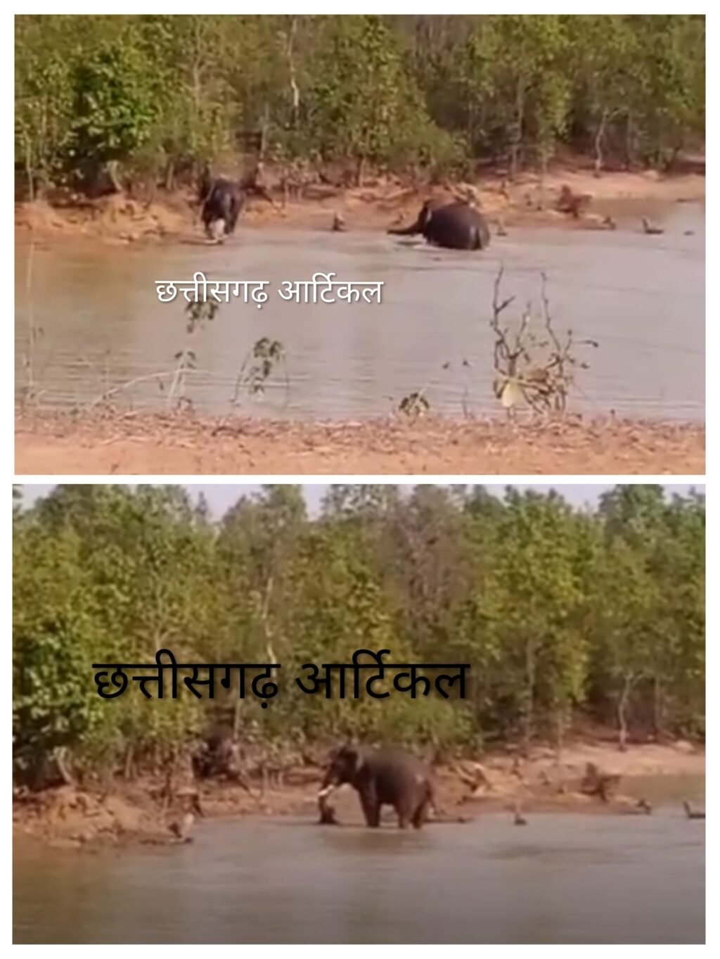 20260414_153334-COLLAGE~3