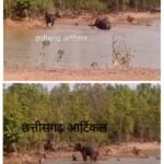 20260414_153334-COLLAGE~3