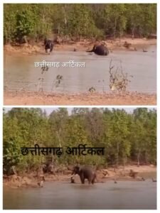 20260414_153334-COLLAGE~3