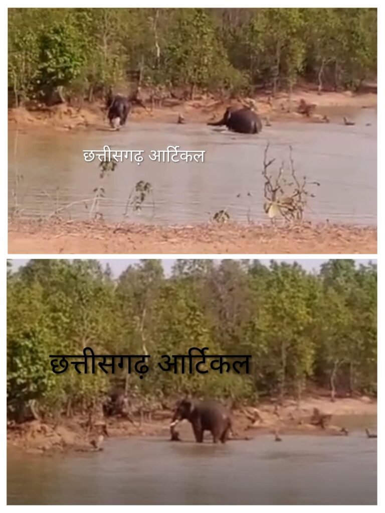 20260414_153334-COLLAGE~3