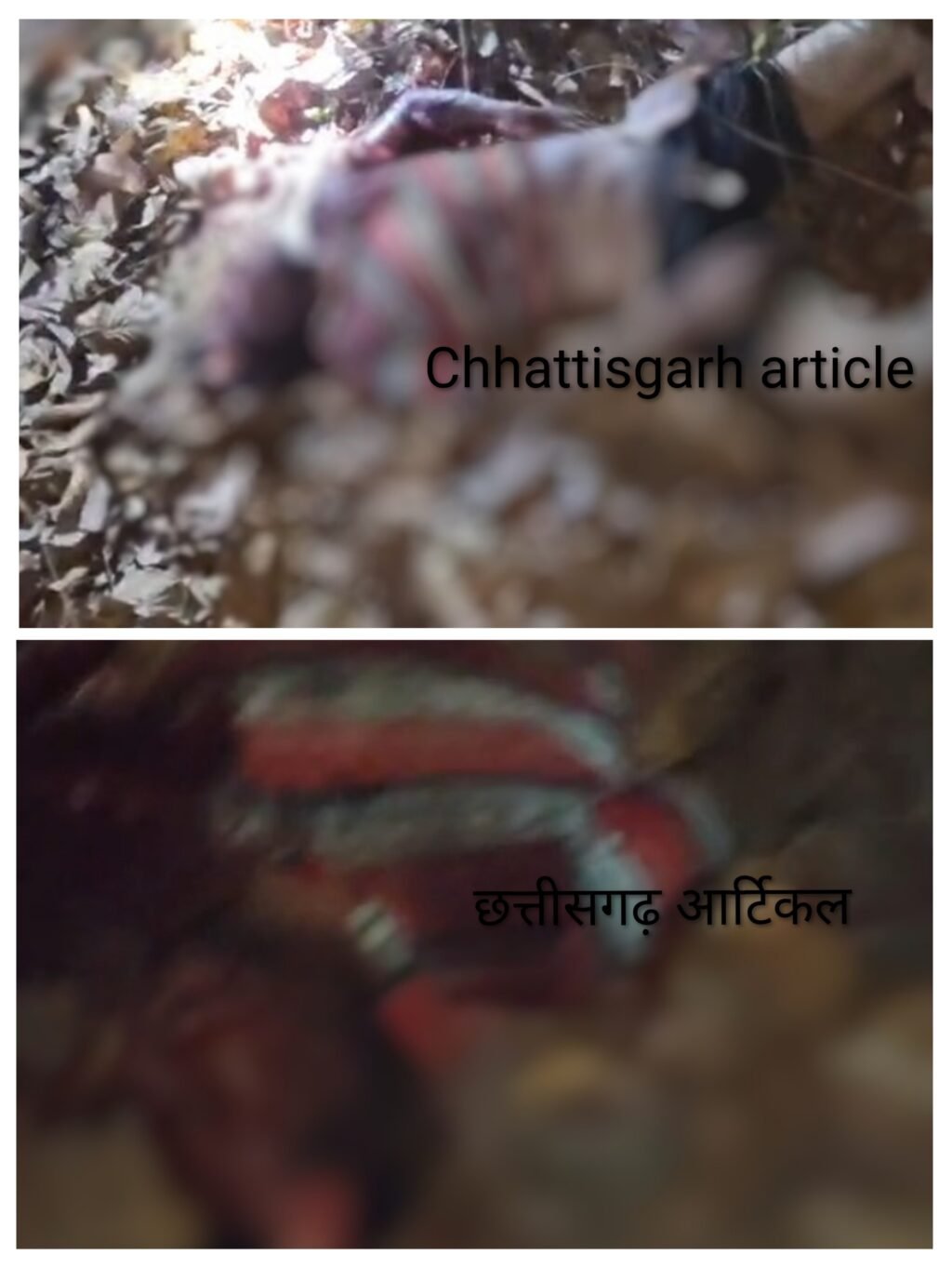 20260415_211933-COLLAGE~3