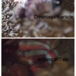 20260415_211933-COLLAGE~3