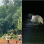 20260706_115711-COLLAGE